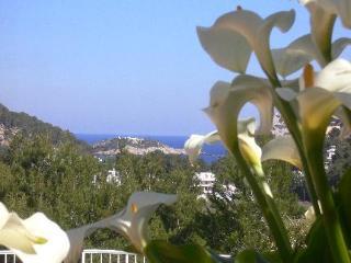 Farm stay Rural Maries Port de Sant Miguel