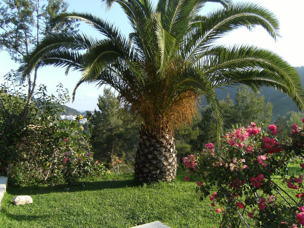 Rural Maries Farm stay
